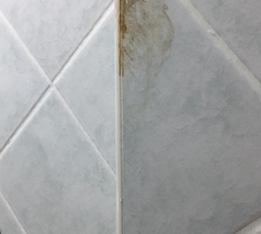 Flora Park Hotel Apartment主图