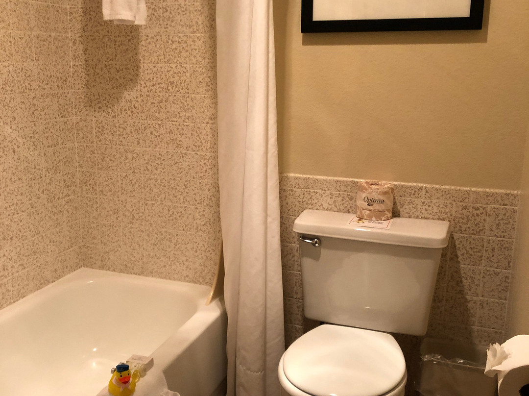 河屋汽车旅馆主图