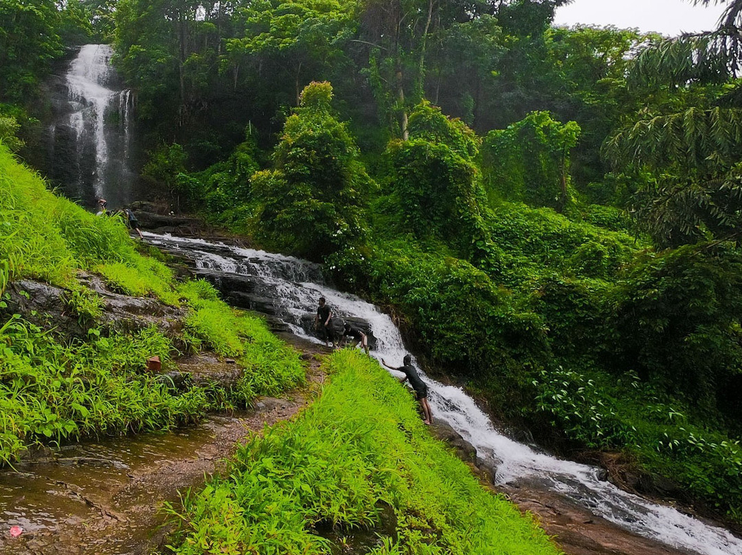 Paloor Kotta Waterfall景点图片