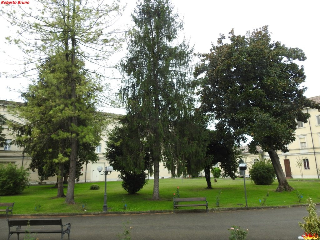 Certosa di Parma景点图片