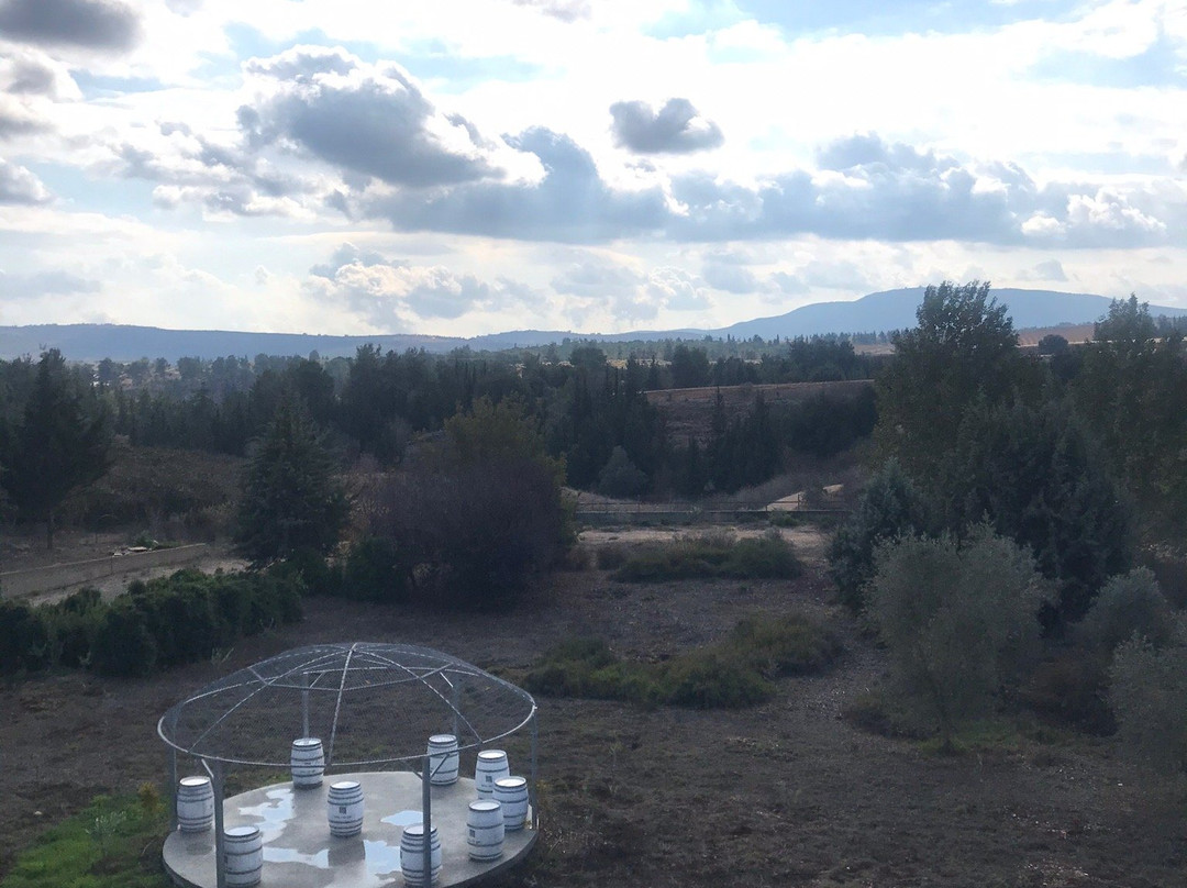 Galil Mountain Winery-Yiron必去景点
