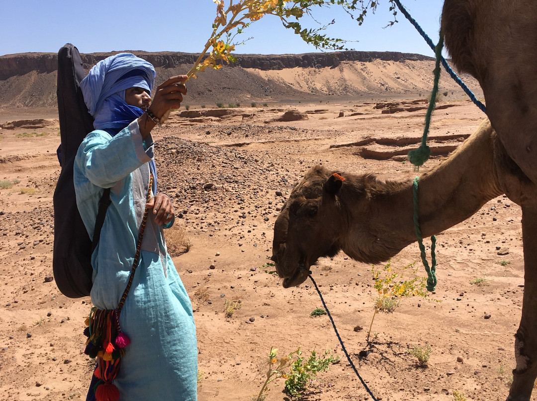 walkwithberbers-morocco-扎古拉必去景点
