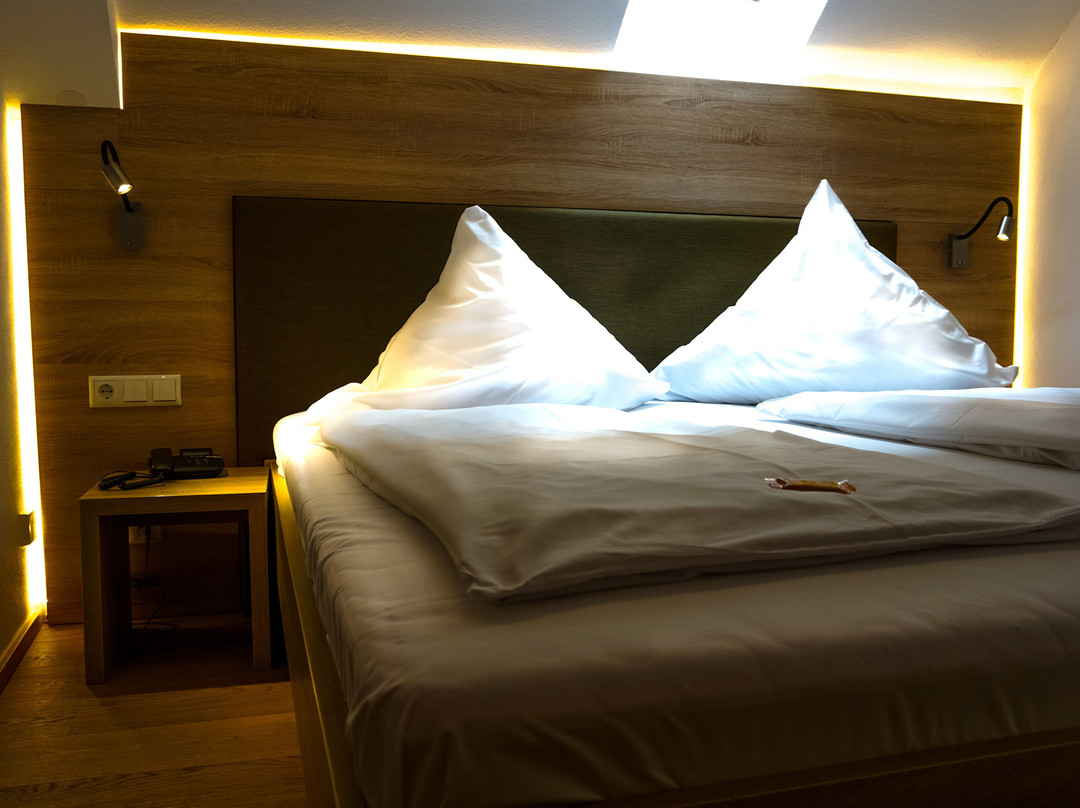 Hotel Gasthaus zur Sonne主图