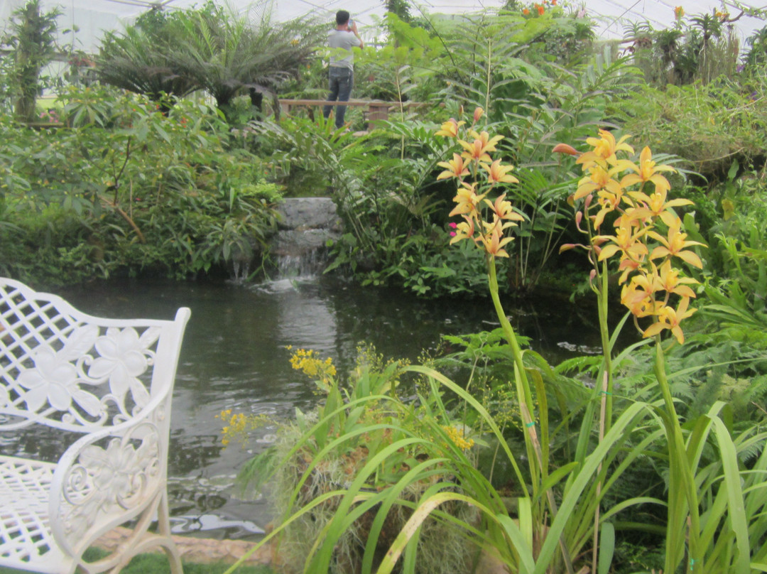 诗丽吉王后植物园景点图片