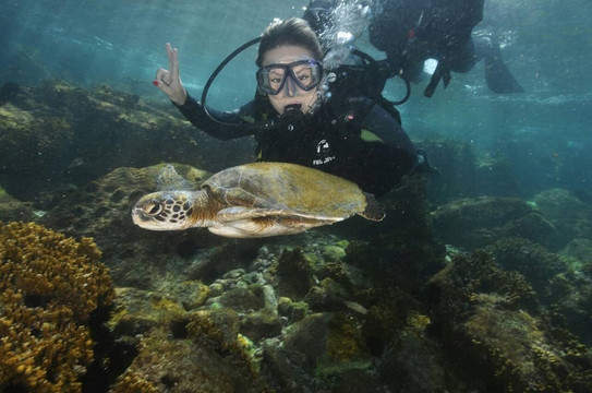 Arraial Vertical-阿拉伊阿尔港必去景点