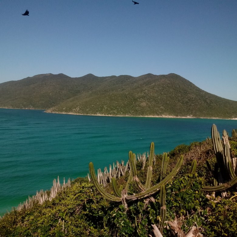 Brava Beach-卡布弗里乌必去景点