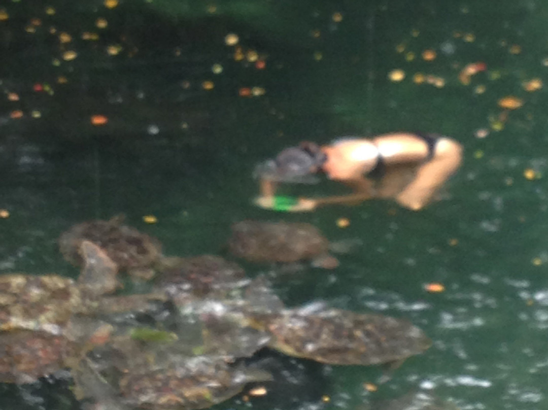 Baraka Natural Aquarium - Nungwi-孥归必去景点