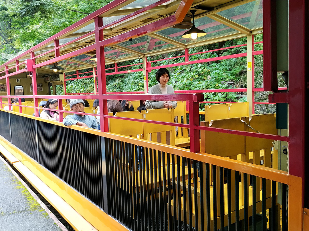 岚山嵯峨野观光小火车景点图片