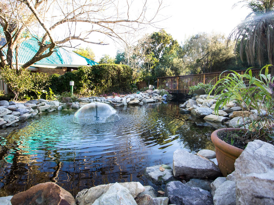 Tsitsikhaya Lodge主图