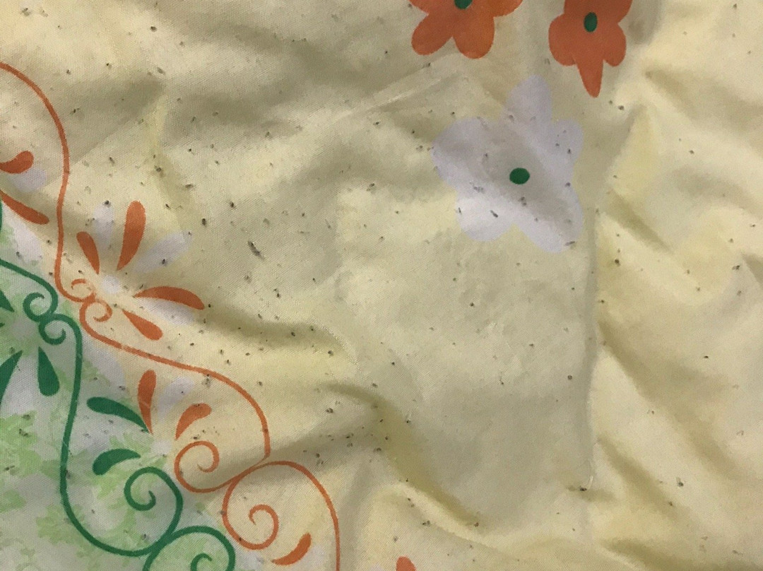 Holiday Home Palampur主图