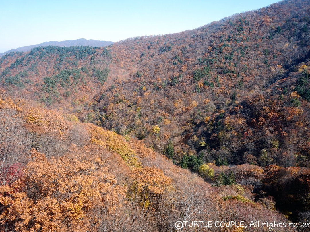Balwangsan Mountain-平昌郡必去景点