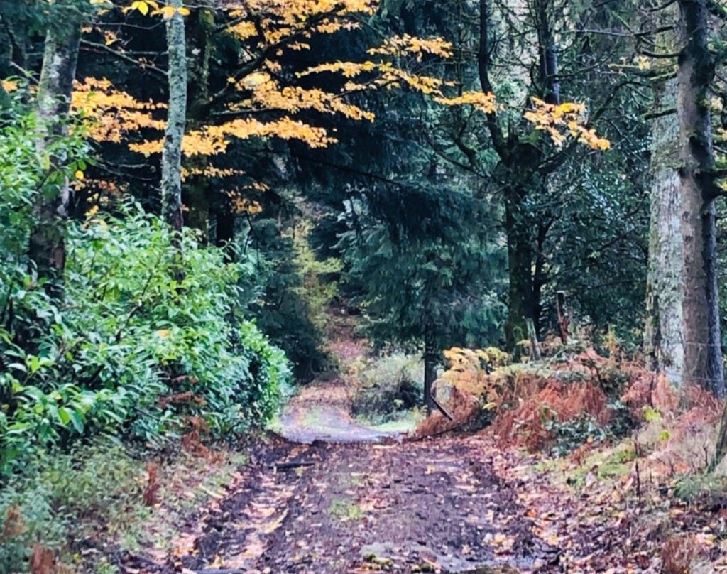 Maison Grand Champ主图