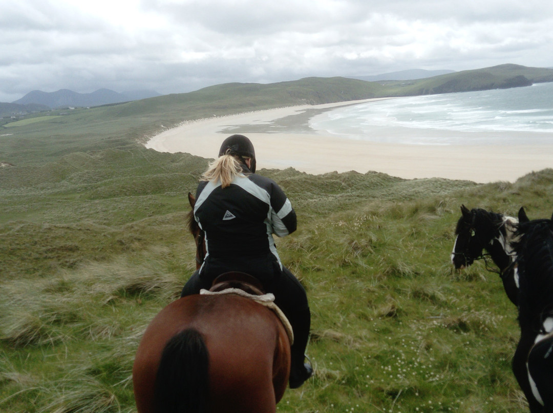Dunfanaghy Stables-Dunfanaghy必去景点