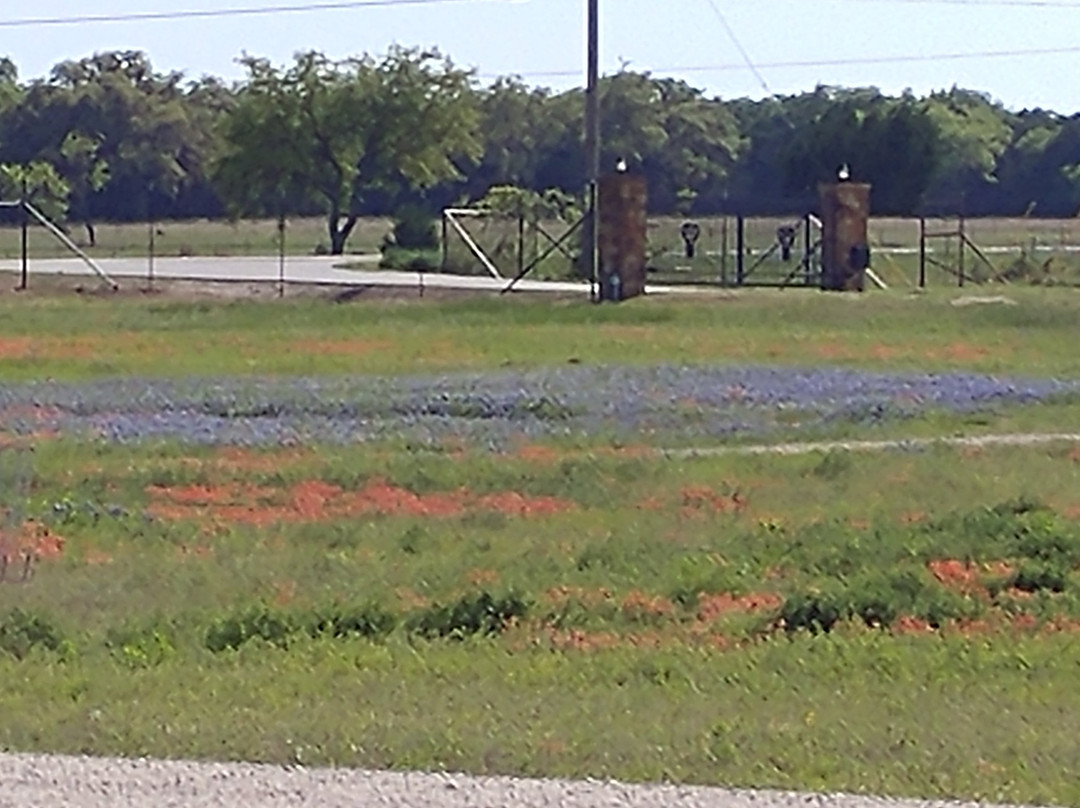 Ron Yates-Johnson City必去景点