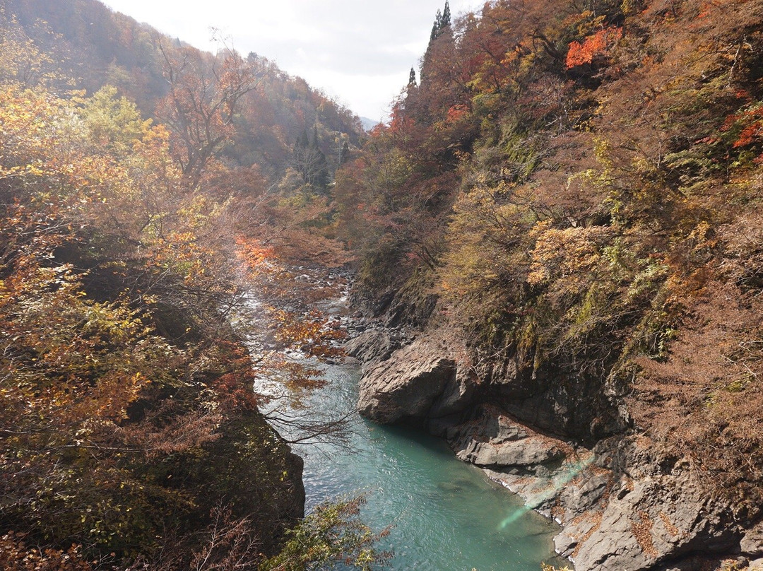 Sarutobi Bridge-津南町必去景点