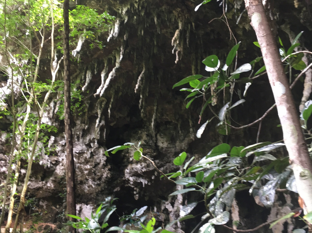 Grotte de Hortense-Ile Des Pins必去景点