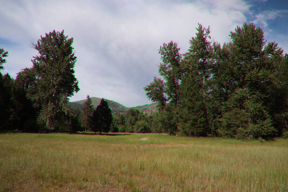 Beavertail Hill State Park Campground景点图片