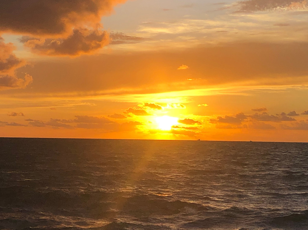White Street Pier-基韦斯特必去景点