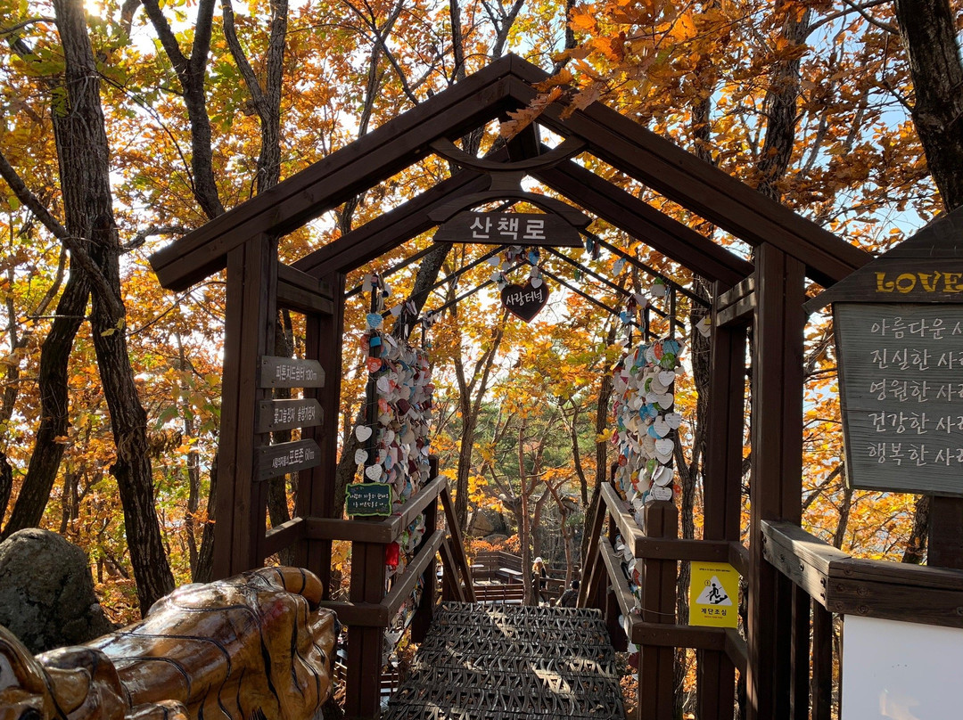 Palgongsan Cable Car景点图片