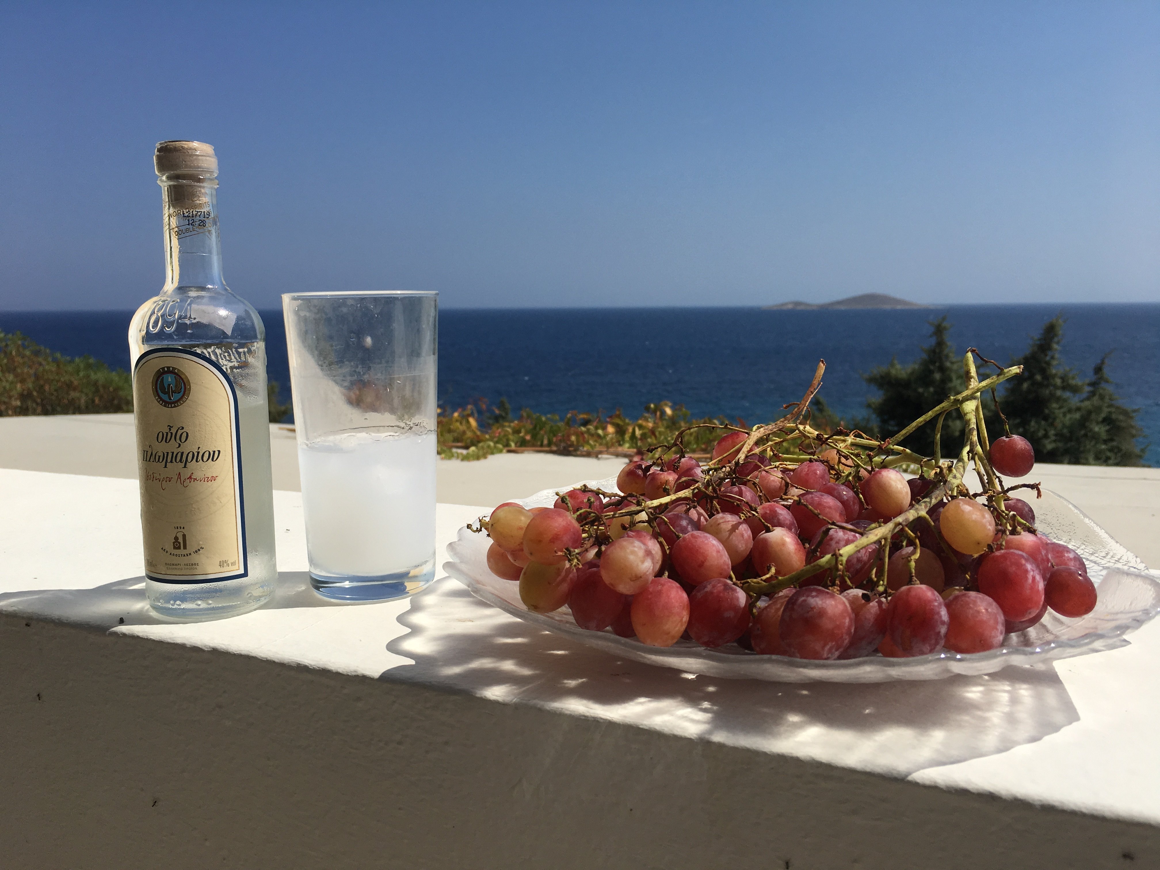 Anemona Villas-酒店景观
