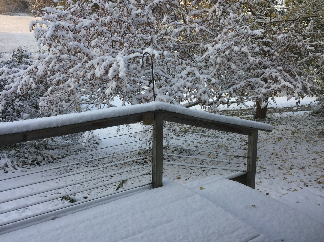 Hawk Valley Retreat & Cottages主图