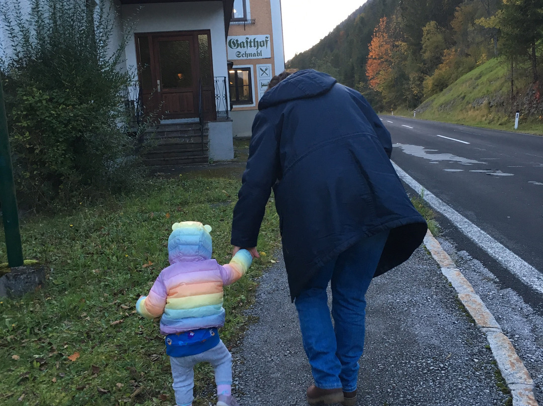 Gasthof Schnabl主图