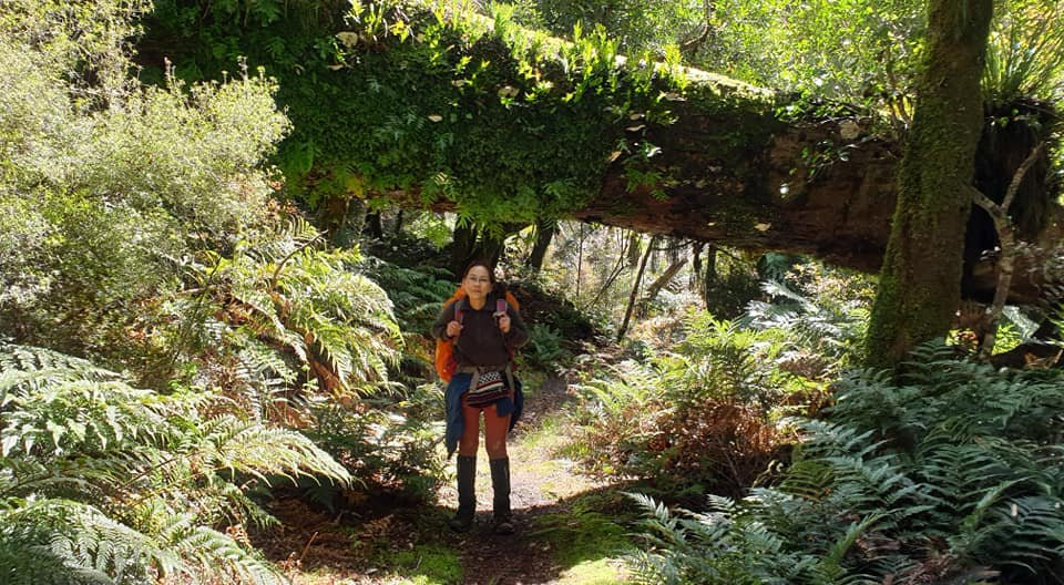 Te Urewera National Park景点图片