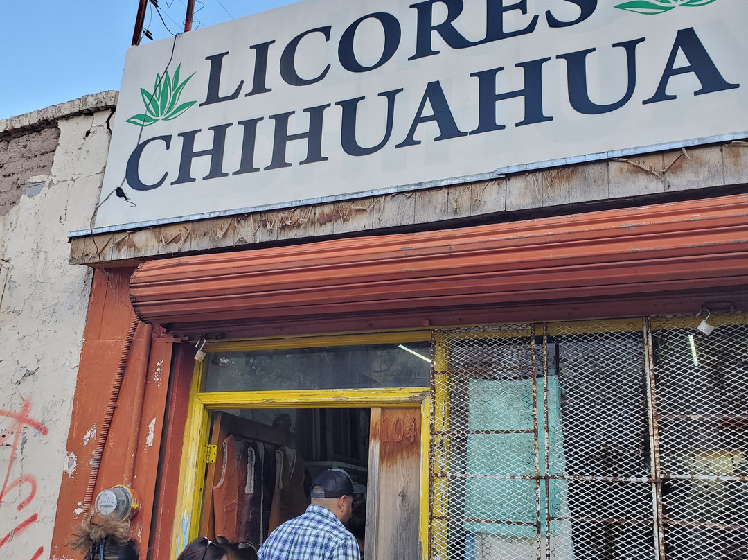 Turibus Juarez-华瑞兹城必去景点