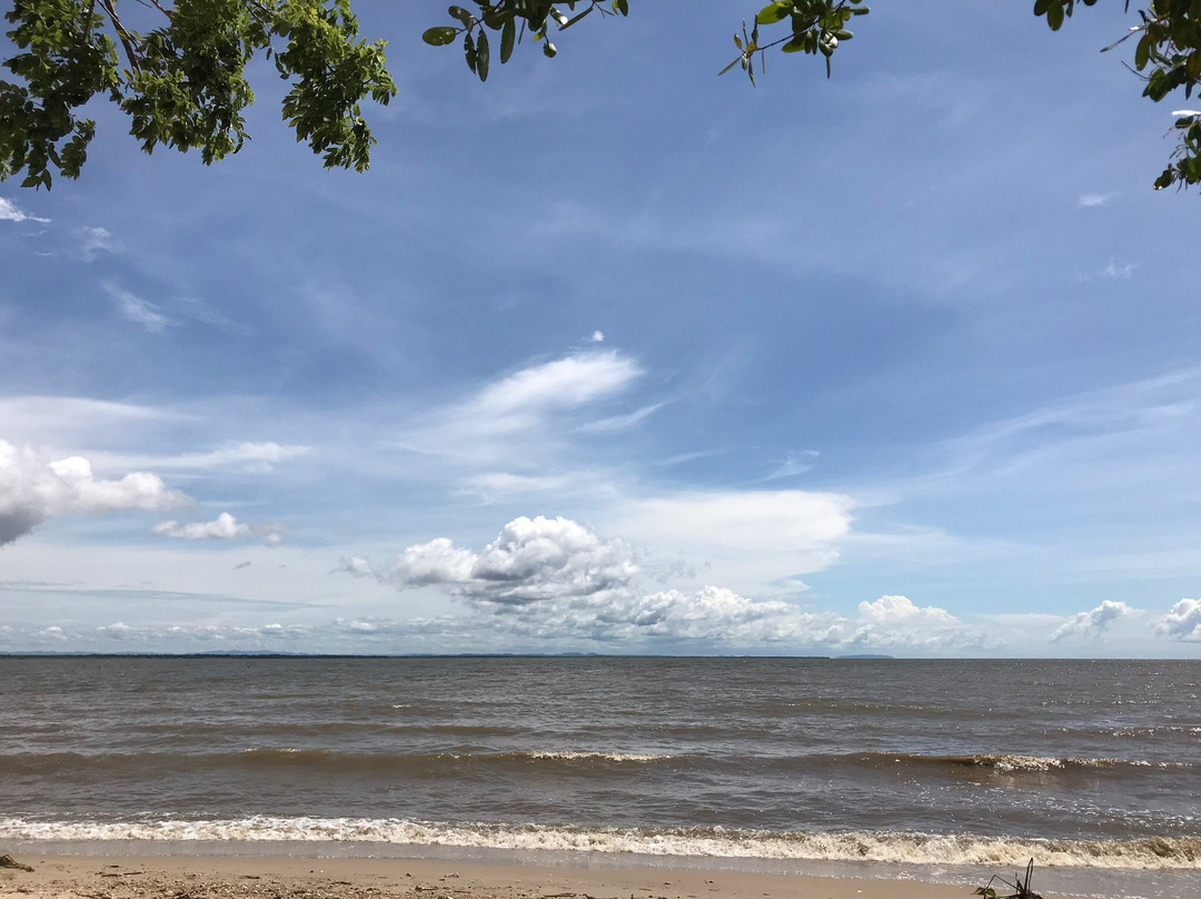 Hotel Playa Manglares主图