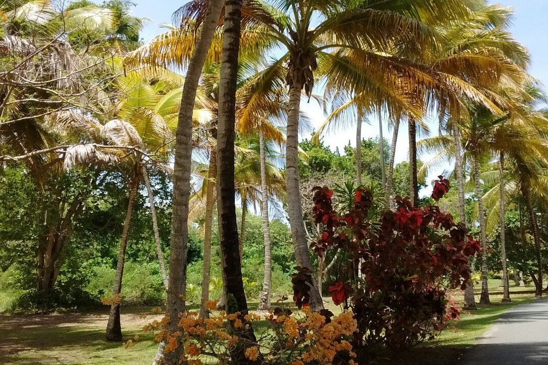 Tobago Fun Island Tours-多巴哥必去景点