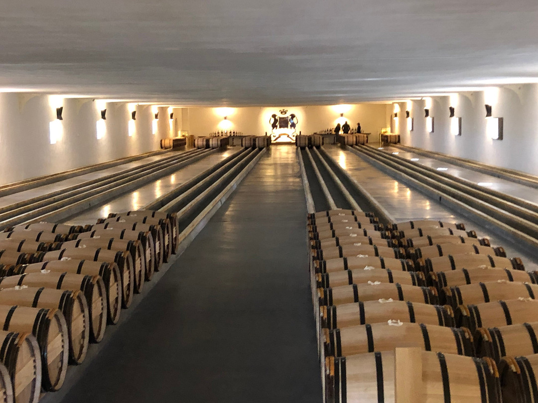 Chateau Mouton Rothschild景点图片