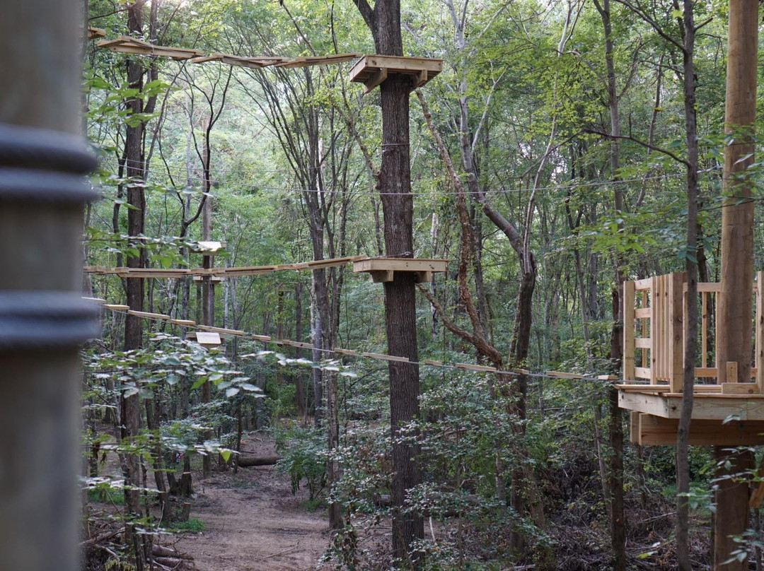 Canopy Adventure Park景点图片