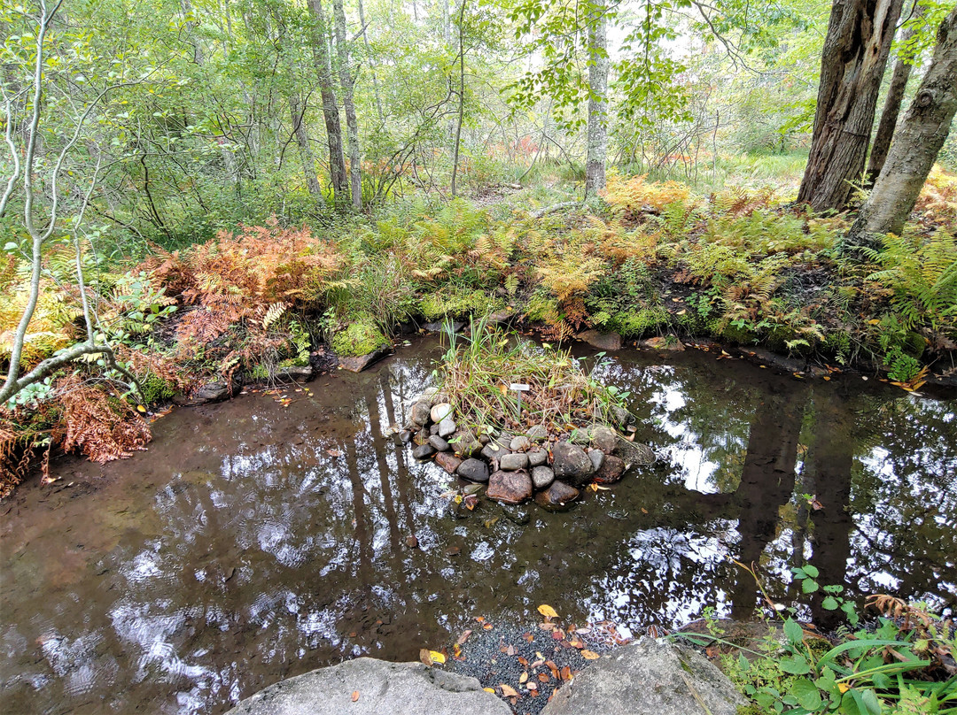 Wild Gardens of Acadia景点图片