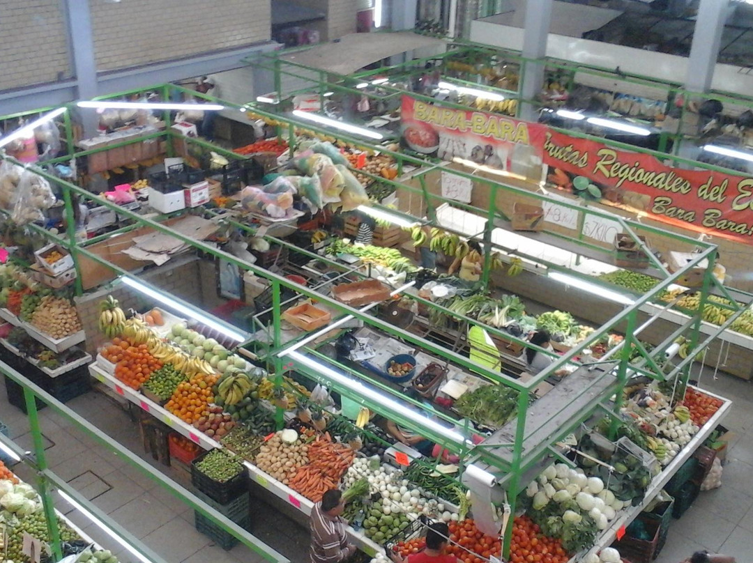 Danitours-曼萨尼约必去景点