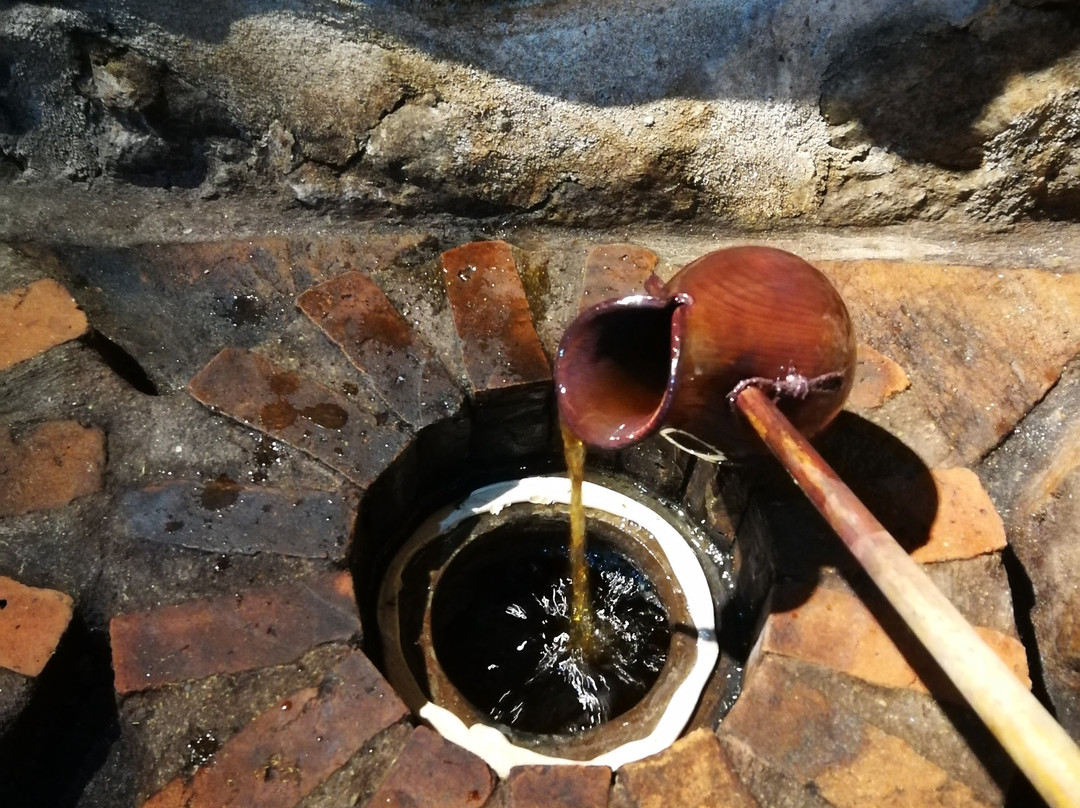 Gio's Wine Cellar-Sighnaghi必去景点
