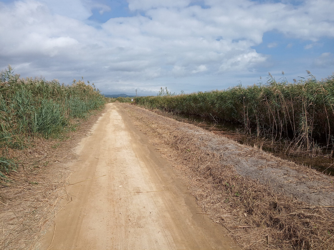Laguna de les Olles景点图片