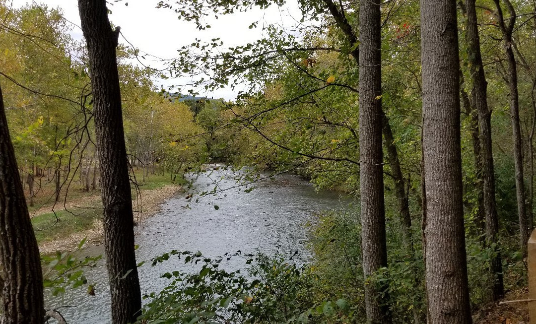 Jackson River Scenic Trail景点图片