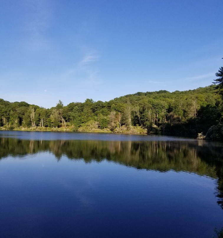 Trout Lake景点图片