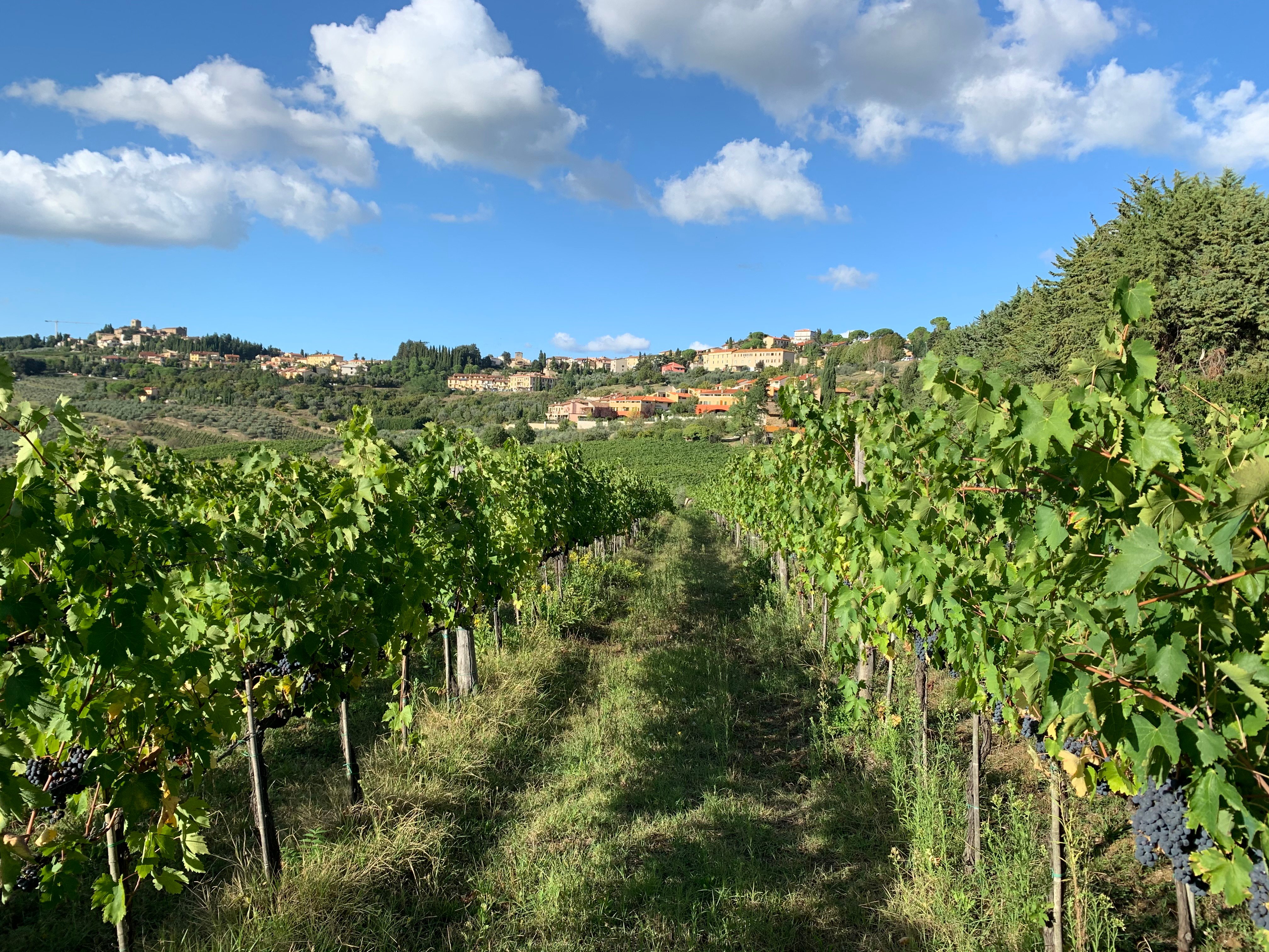 Agriturismo Felciano-官方