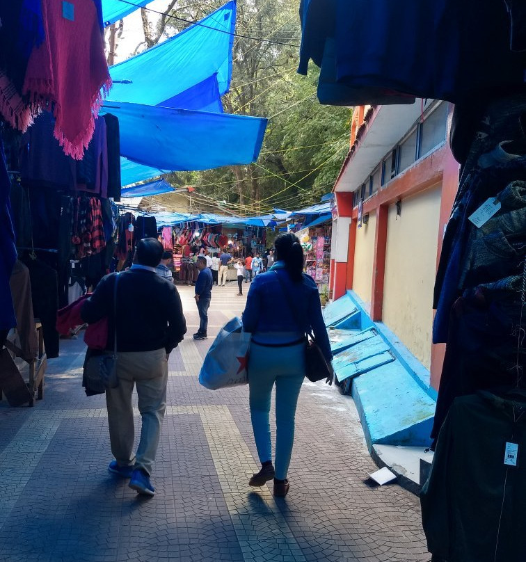 Tibetan Market景点图片