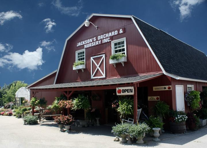 Morgantown旅游景点-Jackson's Orchard & Nursery