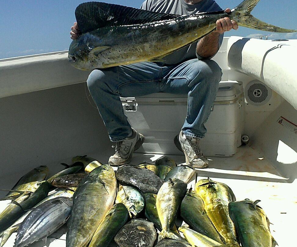 Blue Heaven Charter-伊斯拉摩拉达必去景点