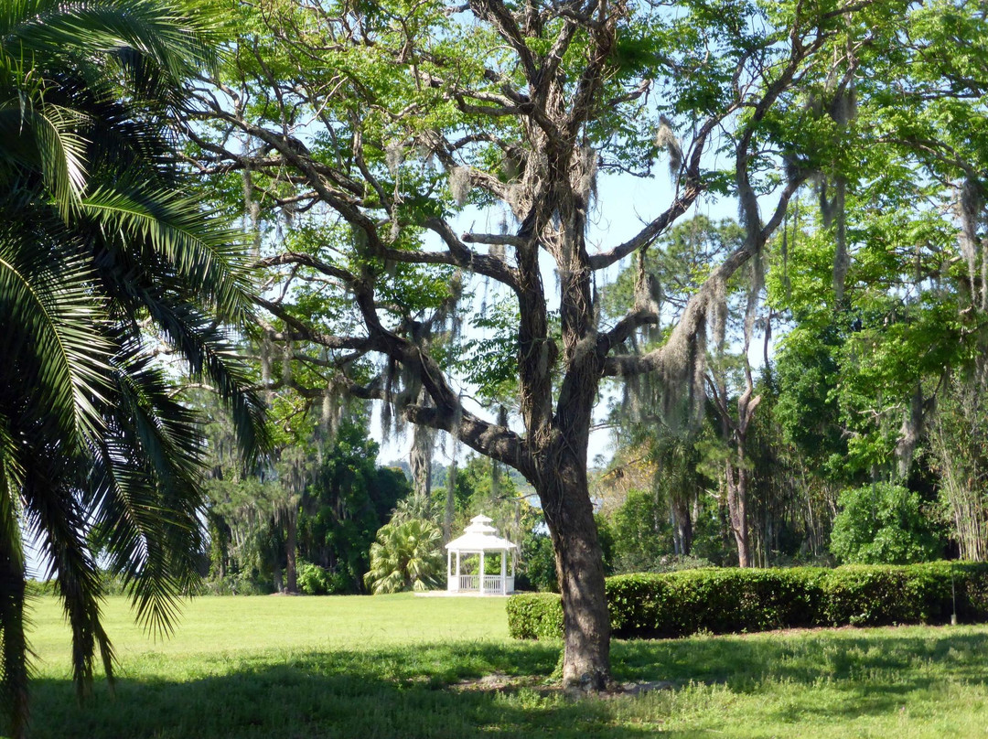 2023年12月Lake Alfred旅游景点攻略Lake Alfred旅游住宿,Lake Alfred旅游美食猫途鹰