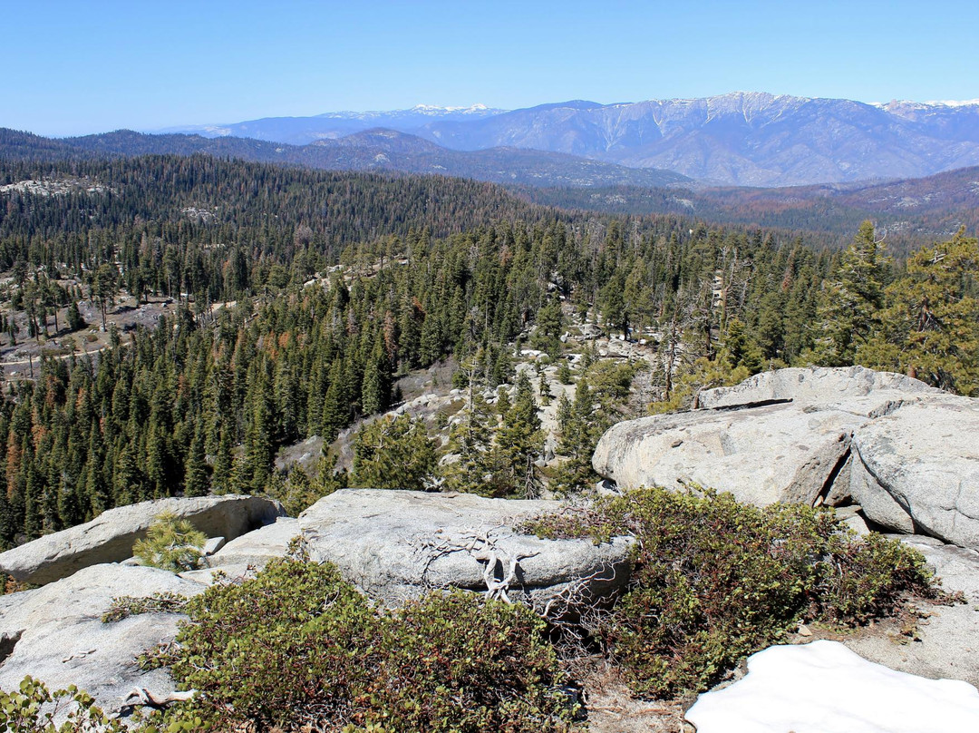 Buena Vista Peak Trail-红杉&国王峡谷国家公园必去景点