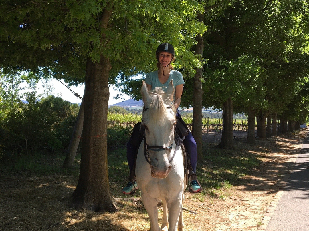 Cape Winelands Riding-Simondium必去景点