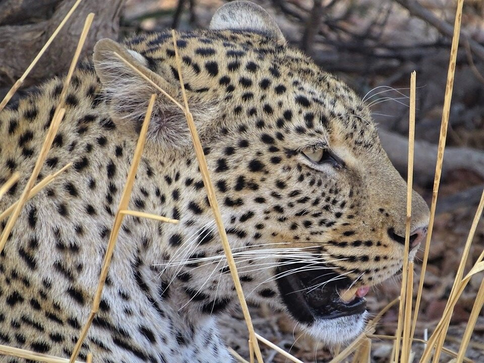 Time + Tide Mchenja主图