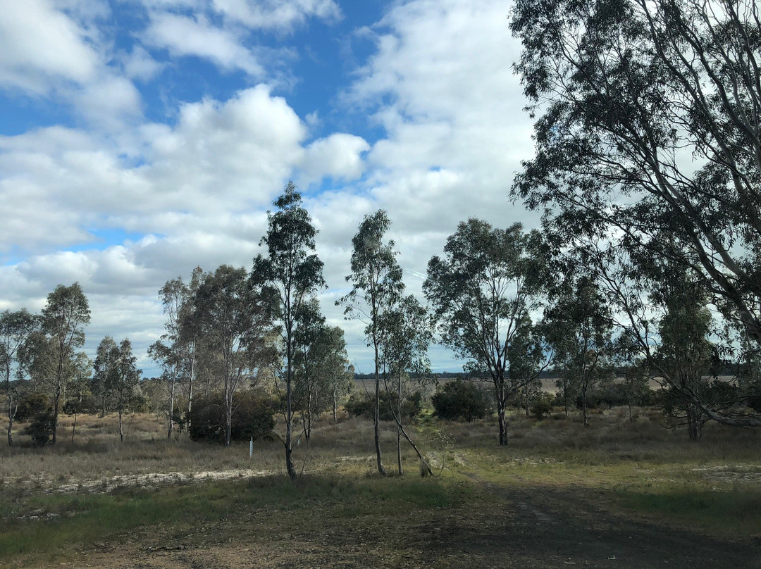 Lake Booroopki-Minimay必去景点