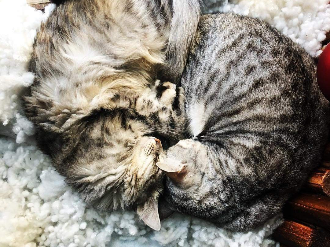 Aleph B-贝鲁特必去景点