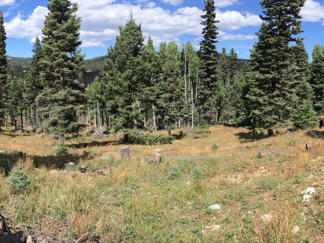 Virgin River Rim Trail景点图片