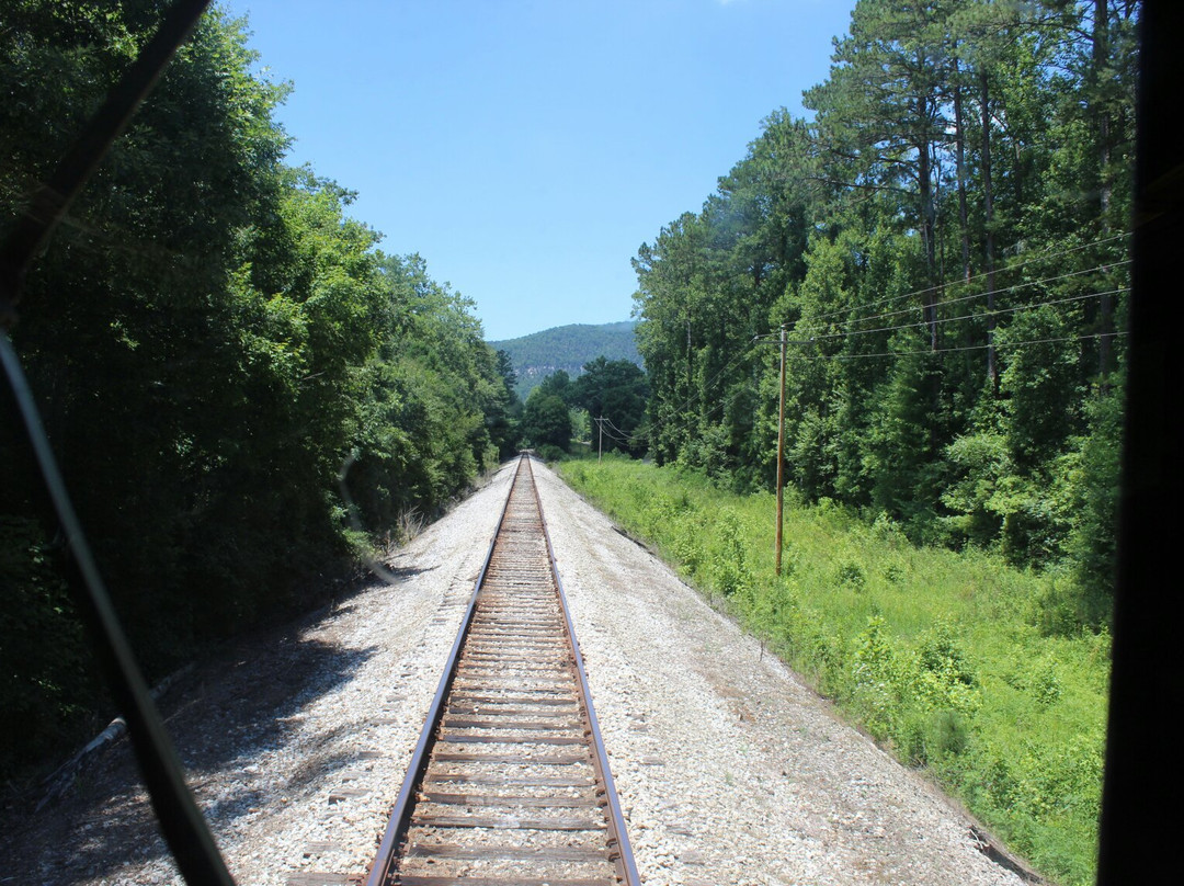 Englewood旅游景点-Tennessee Valley Railroad Museum